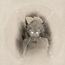 Current 93 - The Light Is Leaving Us All (Picture Disc) |