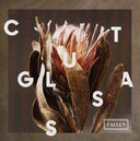 CUT GLASS - Fallen |