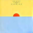 Atavista (X) (2LP) & Bando Stone & The New World (X) (2LP/Opaque Black Vinyl) & Because The Internet & Kauai & Awaken, My Love & Camp