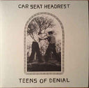 Teens Of Denial & Twin Fantasy