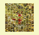Will to Be Well [CD]