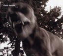 DANIEL MENCHE - Feral |