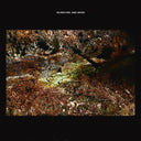 The Green Stone [CD]