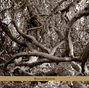 Reconciliation [CD]