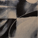 D'Arcangelo - Arium |