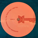 Dashboard Confessional - All The Truth That I Can Tell | Mint (M) Mint (M)