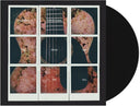 Dashboard Confessional - All The Truth That I Can Tell | Mint (M) Mint (M)