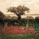 Be Still [Vinyl]