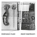 David Rosenboom - Brainwave Music |