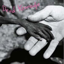 Dead Kennedys - PLASTIC SURGERY DISASTERS (PURPLE VINYL) | Mint (M) Mint (M)