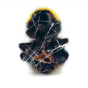 Deadbeat - Walls & Dimensions |