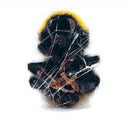 Deadbeat - Walls & Dimensions |