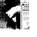 DEDEKIND CUT - The Expanding Domain |