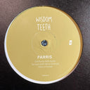 Parris (2) - Terrapin EP (VINYL) | Mint (M) Generic