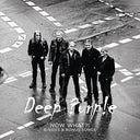 The Now What?! B-Sides And Bonus Songs (Purple Lp) [Vinyl]