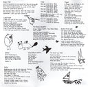 Deerhoof - Holdypaws | Mint (M) Mint (M)