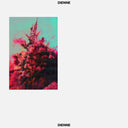 DIENNE - Addio |