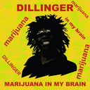 Marijuana In My Brain [CD]