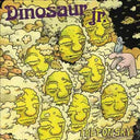 Dinosaur Jr - I Bet on Sky | Mint (M) Mint (M)