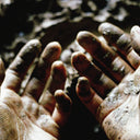 PRE-ORDER Dis Fig - What To Make Of These Mortal Hands [Vinyl]