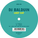 Lost Cat |