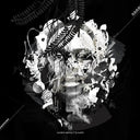 Sacred Groves [CD]