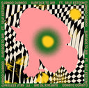 Django Django - Surface To Air [Vinyl]