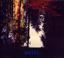 DNTEL - Aimlessness |