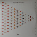 Dominik Eulberg Mannigfaltig !K7 Records 3xLP, Album Mint (M) Mint (M)