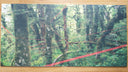 Four Tet - Everything Ecstatic (2x VINYL) | Mint (M) Mint (M)