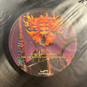 Shpongle - Museum Of Consciousness (RECORD 1 ONLY) | Near Mint (NM) Generic