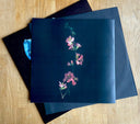 Tor - Oasis Sky (VINYL) | Mint (M) Mint (M)