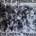 In The Afterworld | Mint (M) Mint (M)