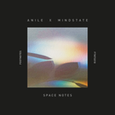 Anile & Mindstate - Space Notes (VINYL) | Mint (M) Mint (M)