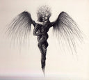 Endangered Species *CD* | Mint (M) Mint (M)
