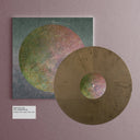 Drifter Dub & Perception | Mint (M) Mint (M)