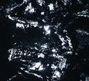 DUANE PITRE - Bayou Electric |