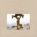 DUDE INCREDIBLE [Vinyl]