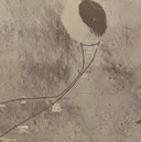 Capsule Losing Contact (BOXSET | DIAMOND CLEAR VINYL) | Mint (M) Mint (M)