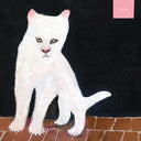 Duster - Duster (GHOULISH TRANSLUCENT VINYL) | Mint (M) Mint (M)