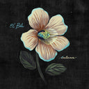 Balance (CD Reissue) | Mint (M) Mint (M)