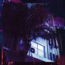 Shcaa - No Moon At All, What A Night | Mint (M) Mint (M)