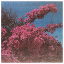 ELISABETH KLINCK - Picture a Frame [Vinyl]