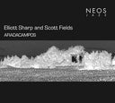 ELLIOTT SHARP & SCOTT FIELDS - Afiadacampos |