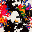 The Black Spider / Det Kollektive Selvmord [CD]