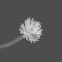 EMILIANO ROMANELLI - Tabulatura 2 |