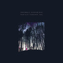 Radiate Through You [CD]