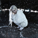 PRE-ORDER Erin Lecount - Pareidolia [Clear Vinyl] [Vinyl]