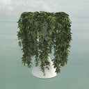 Lease Of Life [CD]