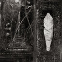 PRE-ORDER Estuary - Wolves In The Throne Room (Indie Exclusive) [Sea Blue With Splatter Vinyl] [Vinyl]